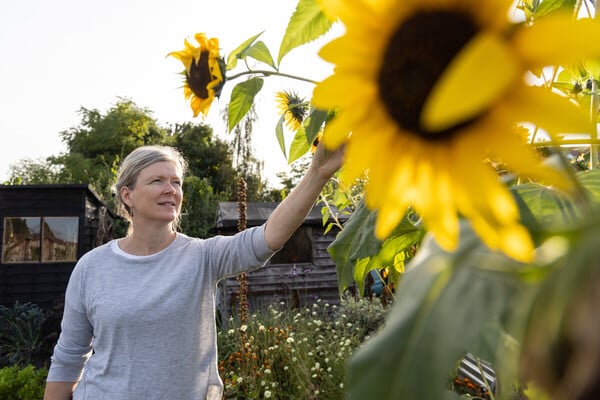 Tuinhulp gezocht in de Overdie