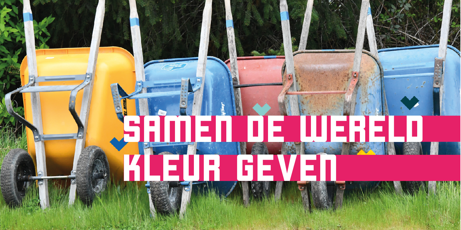 Consulent voor Alkmaarse stichtingen en verenigingen