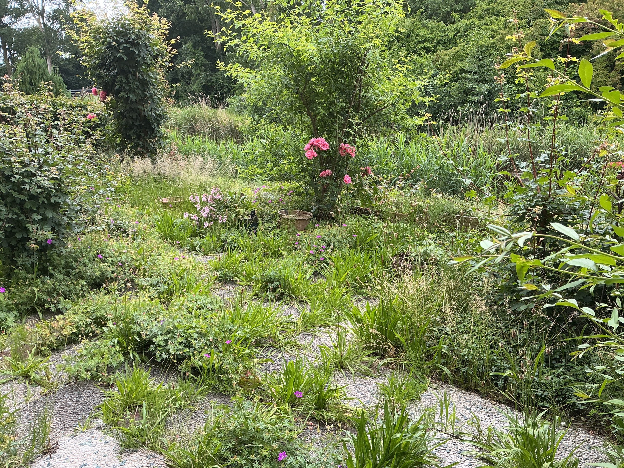 Tuinonderhoud in de Daalmeer