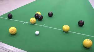 Actieve vrijwilliger voor koersbal - Stichting NIKO