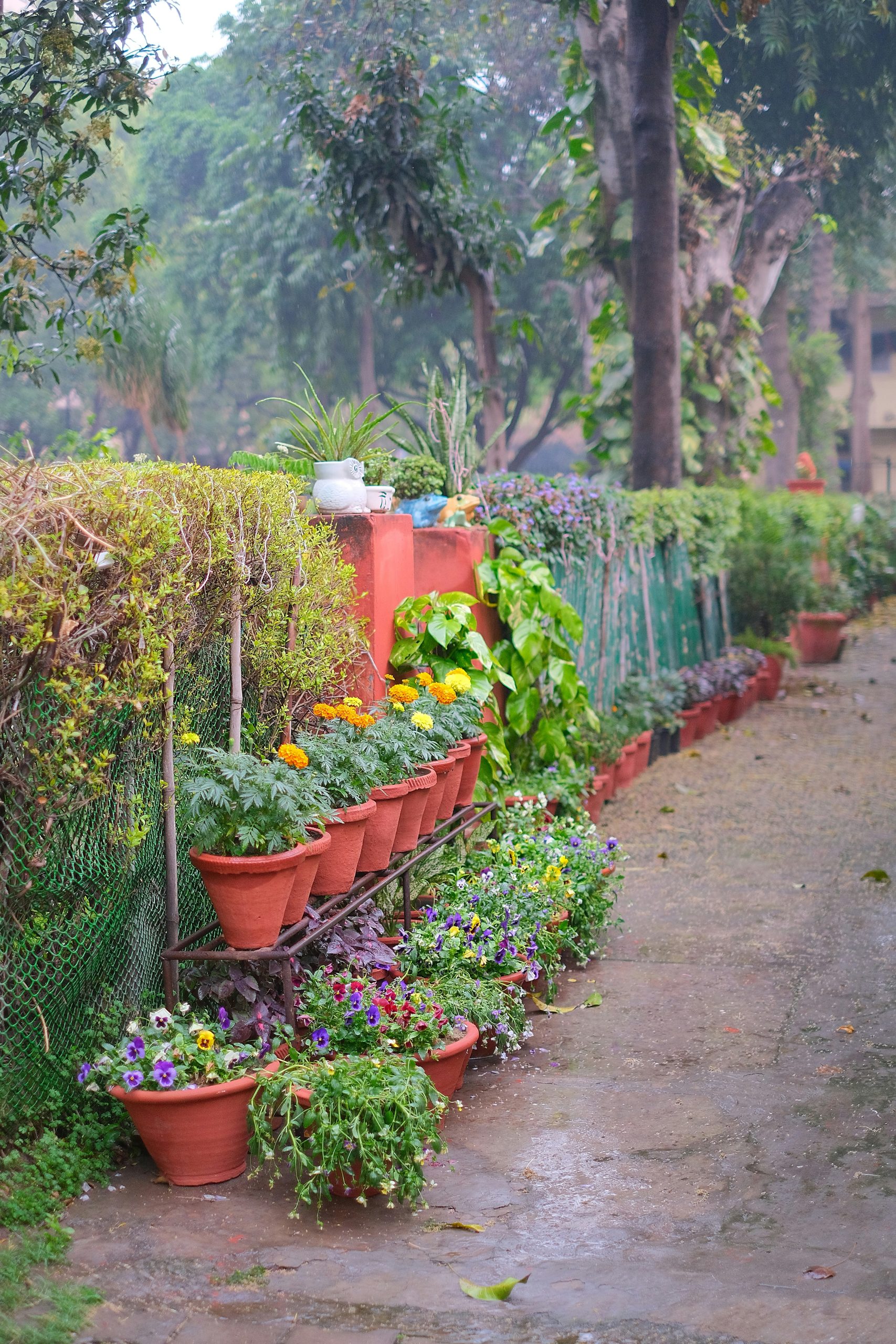 Hulp bij tuinklus bij leuke dames