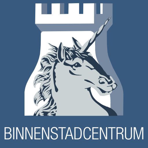 Word jij onze nieuwe bestuursvoorzitter stichting Binnenstad Alkmaar?
